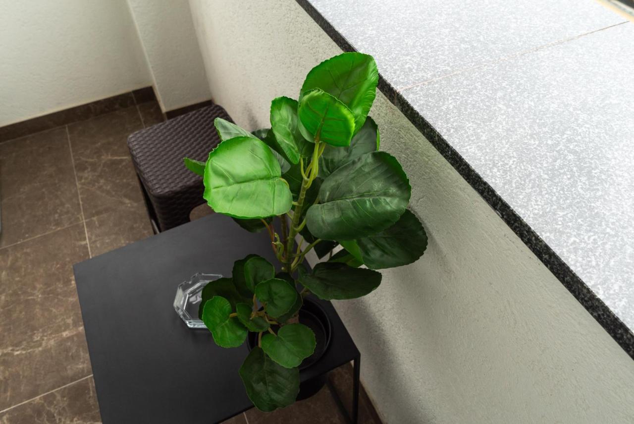 Lux Apartment III פריידור מראה חיצוני תמונה